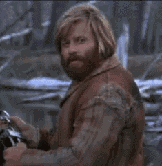 GIF 1
