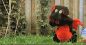 GIFs are my friend