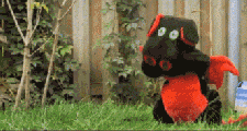 GIFs are my friend