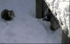 Snow