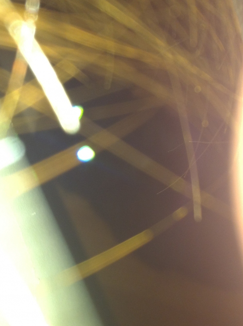 Wine Ghosts