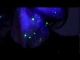 Teaser/mini-mix of all 6 tracks on the Scorpio EP!