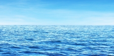 featured image test